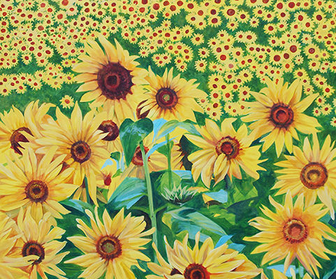 Sunflowers by Glenda Hadfield